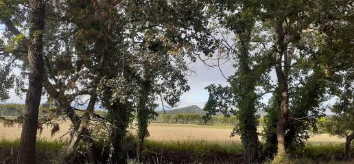 Peyrolles-en-Provence
